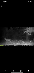 Hunting Property for Sale in Central Arkansas Near Sheridan - image 45