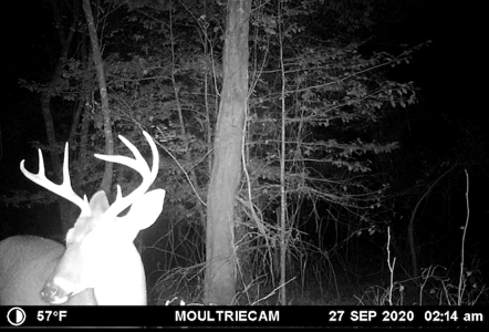 Hunting Property for Sale in Central Arkansas Near Sheridan - image 5
