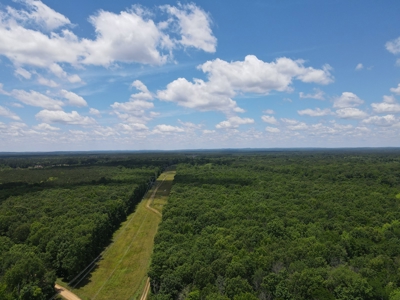 Hunting Property for Sale in Central Arkansas Near Sheridan - image 38