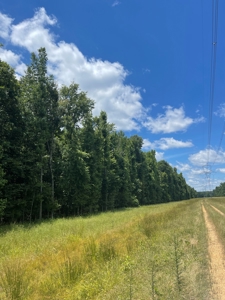 Hunting Property for Sale in Central Arkansas Near Sheridan - image 35