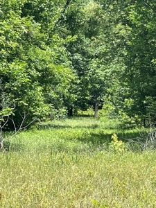 Hunting Property for Sale in Central Arkansas Near Sheridan - image 31