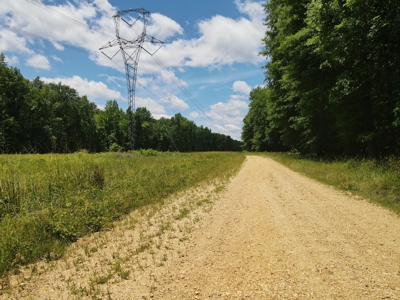 Hunting Property for Sale in Central Arkansas Near Sheridan - image 37