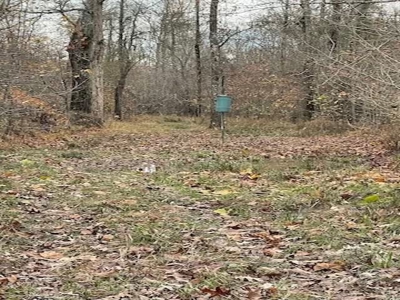 Hunting Property for Sale in Central Arkansas Near Sheridan - image 16