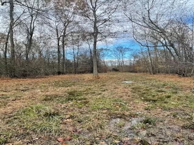 Hunting Property for Sale in Central Arkansas Near Sheridan - image 10