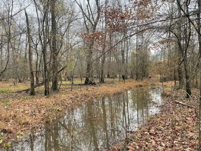 Hunting Property for Sale in Central Arkansas Near Sheridan - image 27
