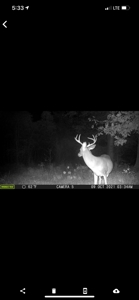 Hunting Property for Sale in Central Arkansas Near Sheridan - image 47