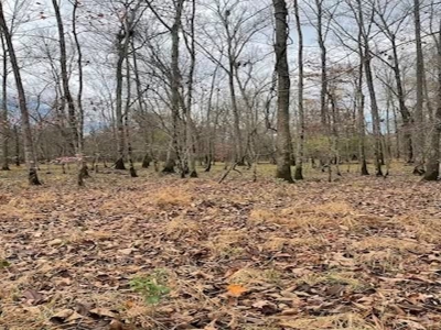 Hunting Property for Sale in Central Arkansas Near Sheridan - image 20