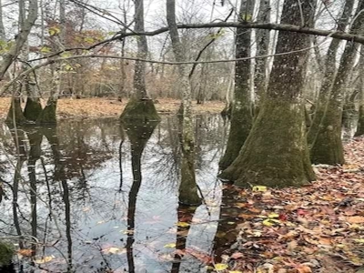 Hunting Property for Sale in Central Arkansas Near Sheridan - image 15