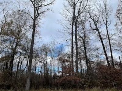 Hunting Property for Sale in Central Arkansas Near Sheridan - image 13