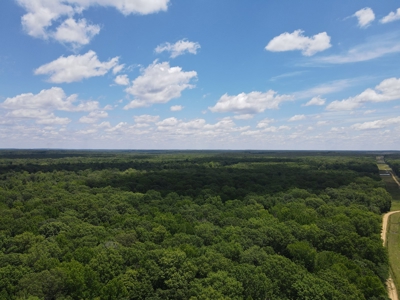Hunting Property for Sale in Central Arkansas Near Sheridan - image 40