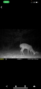Hunting Property for Sale in Central Arkansas Near Sheridan - image 50