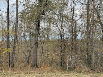 Hunting Property for Sale in Central Arkansas Near Sheridan - image 12