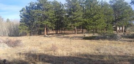 Opportunity to Own a Mountain Lot In Fox Acres Community - image 1