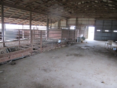 Home and 60 acres plus additional 20 and 43 acres at Auction - image 9