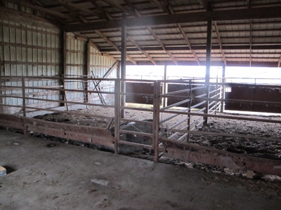 Home and 60 acres plus additional 20 and 43 acres at Auction - image 8