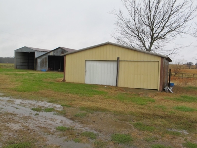 Home and 60 acres plus additional 20 and 43 acres at Auction - image 11