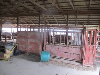 Home and 60 acres plus additional 20 and 43 acres at Auction - image 6