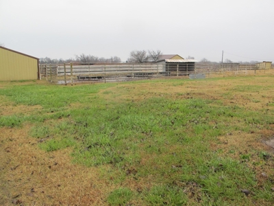Home and 60 acres plus additional 20 and 43 acres at Auction - image 5
