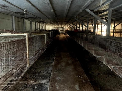 Price Reduced! 27,780 Sq Ft. Livestock Barns - image 22