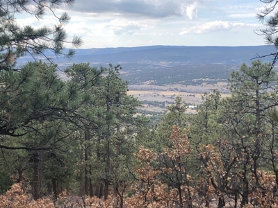Mountain Property with Spectacular Views - image 1