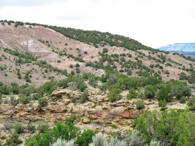 Recreational Land For Sale in Western Colorado - image 23