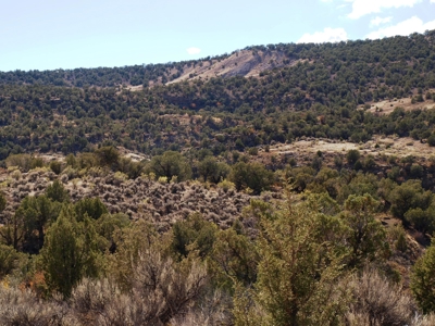 Recreational Land For Sale in Western Colorado - image 10