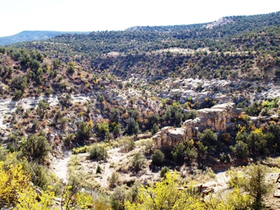 Recreational Land For Sale in Western Colorado - image 5