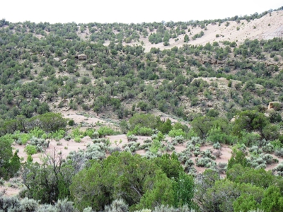 Recreational Land For Sale in Western Colorado - image 22