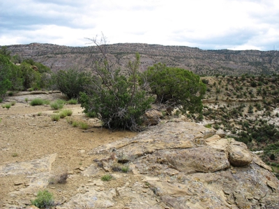 Recreational Land For Sale in Western Colorado - image 19