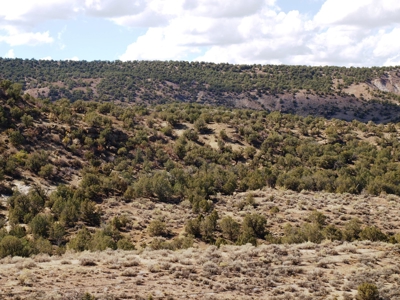 Recreational Land For Sale in Western Colorado - image 3