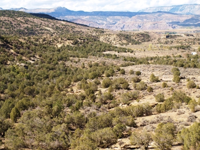 Recreational Land For Sale in Western Colorado - image 12