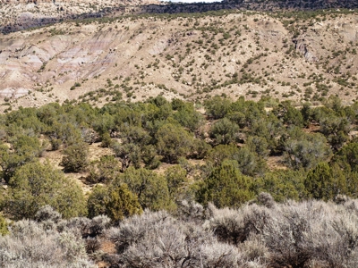 Recreational Land For Sale in Western Colorado - image 9
