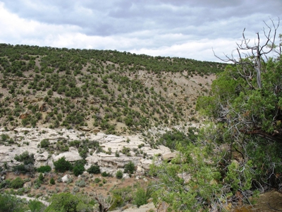 Recreational Land For Sale in Western Colorado - image 14