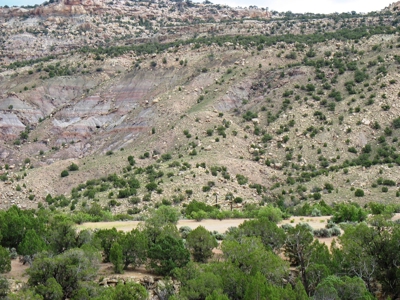 Recreational Land For Sale in Western Colorado - image 21