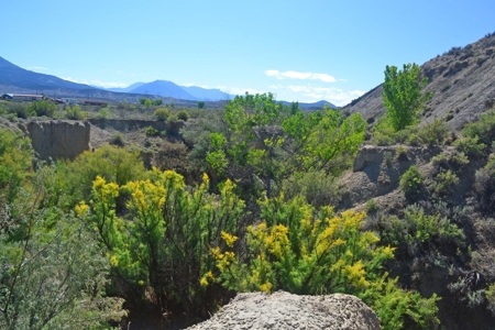 Hotchkiss Colorado land for sale with building sites - image 11