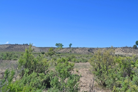 Hotchkiss Colorado land for sale with building sites - image 14