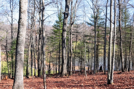 Land for Sale on Olde Mill Golf Course - image 4