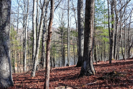 Land for Sale on Olde Mill Golf Course - image 3