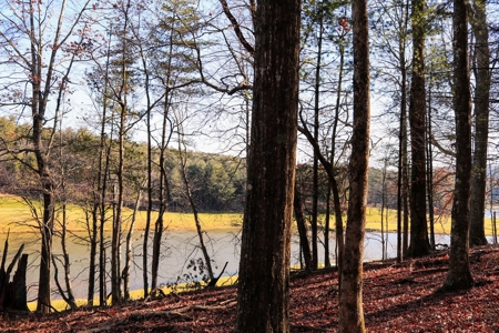 Land for Sale on Olde Mill Golf Course - image 13