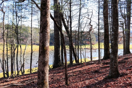 Land for Sale on Olde Mill Golf Course - image 14