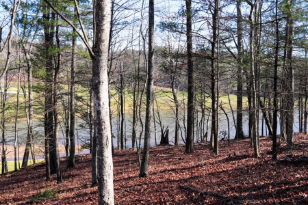 Land for Sale on Olde Mill Golf Course - image 16