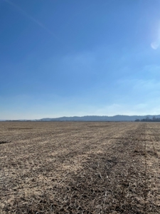 High Quality Missouri River Bottom Land Near Forest City, MO - image 7