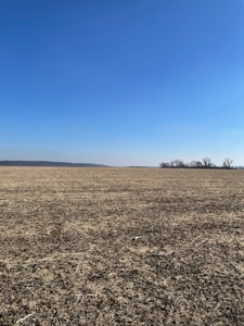 High Quality Missouri River Bottom Land Near Forest City, MO - image 5