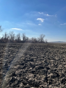 High Quality Missouri River Bottom Land Near Forest City, MO - image 12