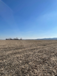 High Quality Missouri River Bottom Land Near Forest City, MO - image 6
