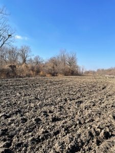 High Quality Missouri River Bottom Land Near Forest City, MO - image 9