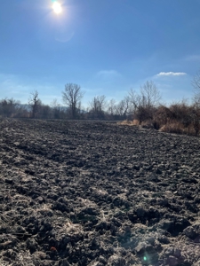 High Quality Missouri River Bottom Land Near Forest City, MO - image 10