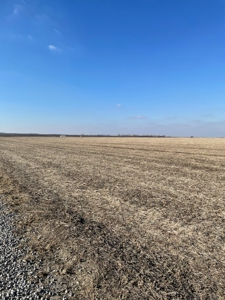 High Quality Missouri River Bottom Land Near Forest City, MO - image 15