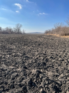High Quality Missouri River Bottom Land Near Forest City, MO - image 11