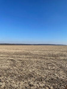High Quality Missouri River Bottom Land Near Forest City, MO - image 4